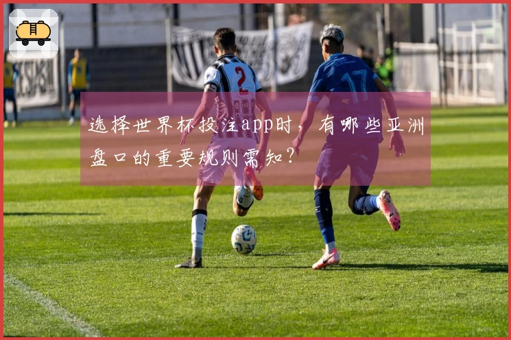 选择世界杯投注app时，有哪些亚洲盘口的重要规则需知？