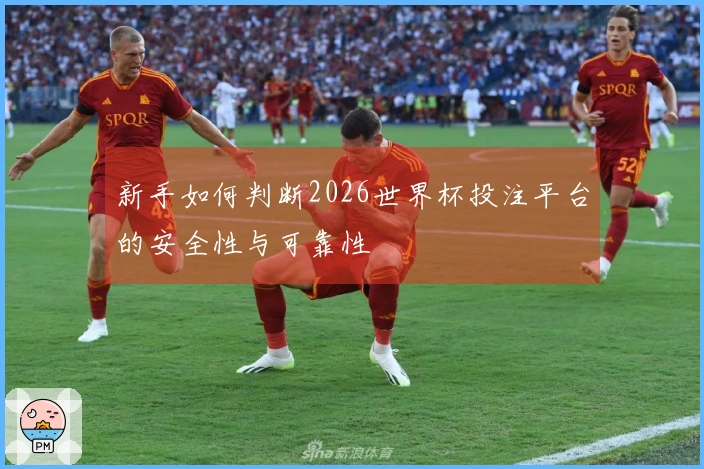 新手如何判断2026世界杯投注平台的安全性与可靠性
