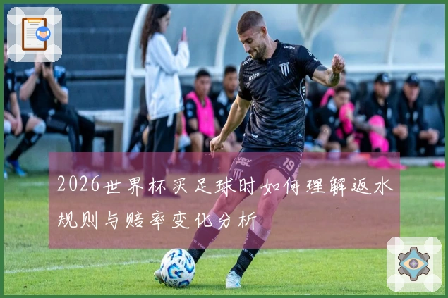 2026世界杯买足球时如何理解返水规则与赔率变化分析