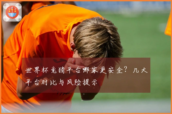 世界杯竞猜平台哪家更安全？几大平台对比与风险提示