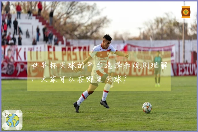 世界杯买球的平台选择和规则理解，大家可以在哪里买球？