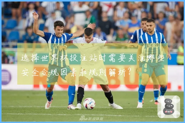 选择世界杯投注站时需要关注哪些安全合规因素和规则解析？