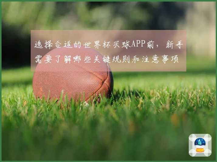 选择合适的世界杯买球APP前，新手需要了解哪些关键规则和注意事项