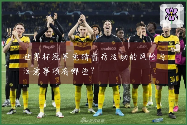世界杯冠军竞猜首存活动的风险与注意事项有哪些？