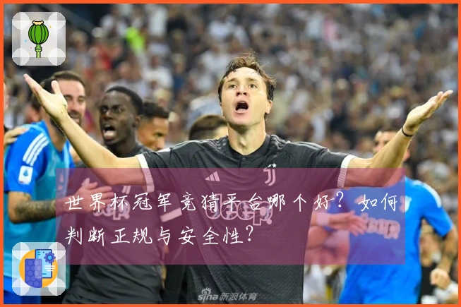 世界杯冠军竞猜平台哪个好？如何判断正规与安全性？