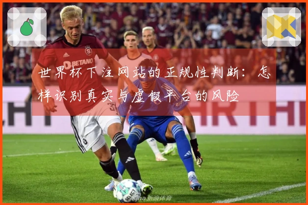 世界杯下注网站的正规性判断：怎样识别真实与虚假平台的风险
