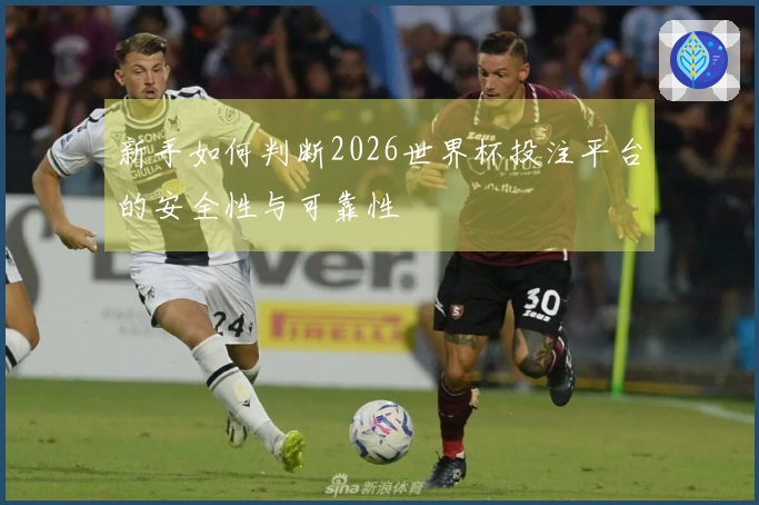 新手如何判断2026世界杯投注平台的安全性与可靠性