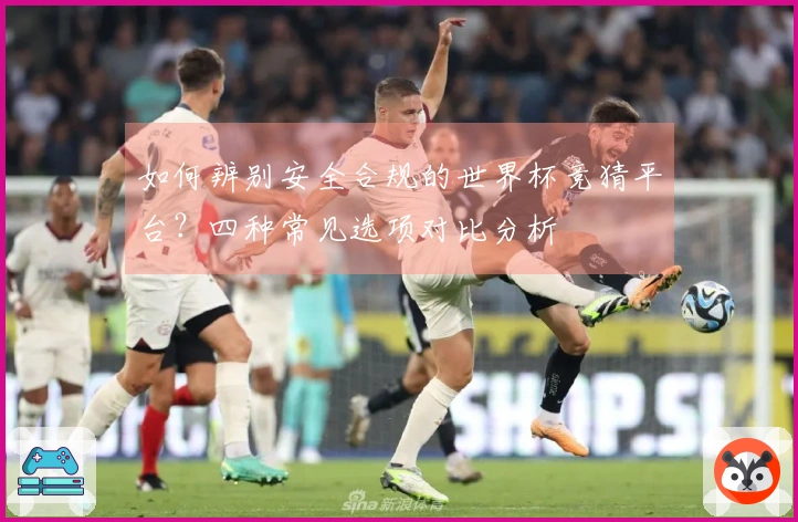 如何辨别安全合规的世界杯竞猜平台？四种常见选项对比分析