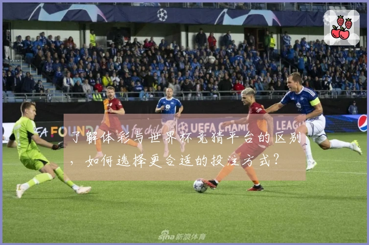 了解体彩与世界杯竞猜平台的区别,如何选择更合适的投注方式?