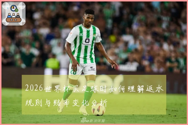 2026世界杯买足球时如何理解返水规则与赔率变化分析