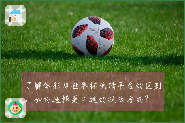 了解体彩与世界杯竞猜平台的区别，如何选择更合适的投注方式？