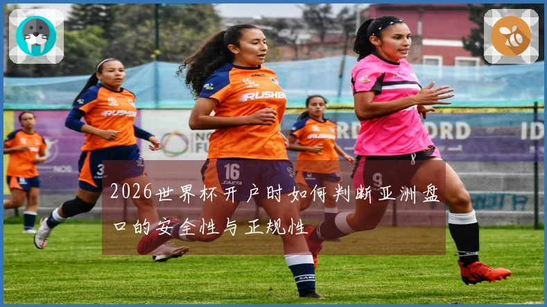 2026世界杯开户时如何判断亚洲盘口的安全性与正规性