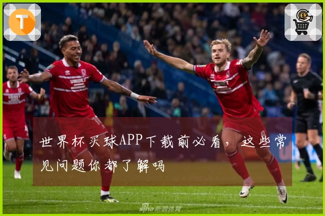 世界杯买球APP下载前必看，这些常见问题你都了解吗