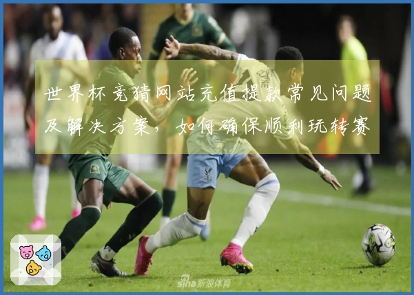 世界杯竞猜网站充值提款常见问题及解决方案，如何确保顺利玩转赛事竞猜