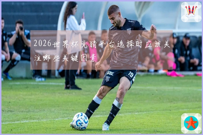 2026世界杯竞猜平台选择时应该关注哪些关键因素