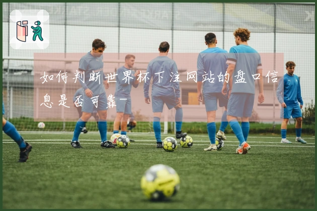 如何判断世界杯下注网站的盘口信息是否可靠-