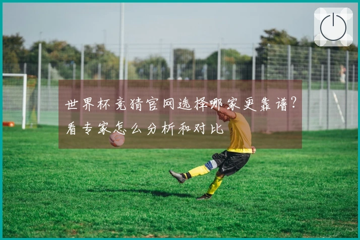 世界杯竞猜官网选择哪家更靠谱？看专家怎么分析和对比