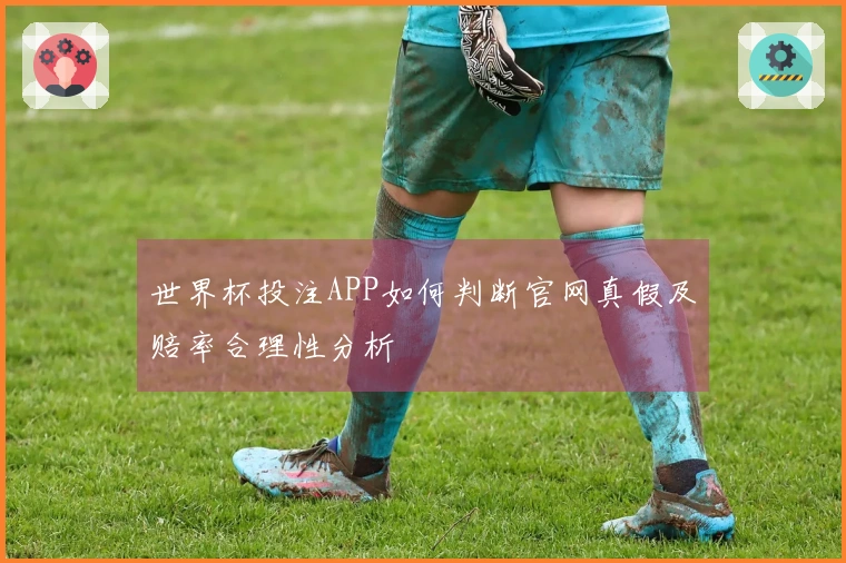 世界杯投注APP如何判断官网真假及赔率合理性分析
