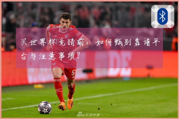 买世界杯竞猜前，如何甄别靠谱平台与注意事项？