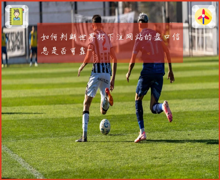如何判断世界杯下注网站的盘口信息是否可靠-