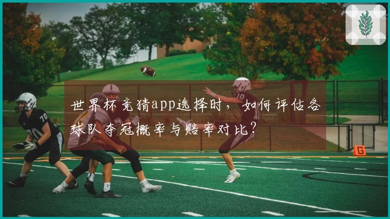 世界杯竞猜app选择时，如何评估各球队夺冠概率与赔率对比？
