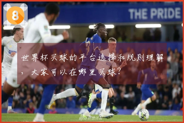 世界杯买球的平台选择和规则理解，大家可以在哪里买球？