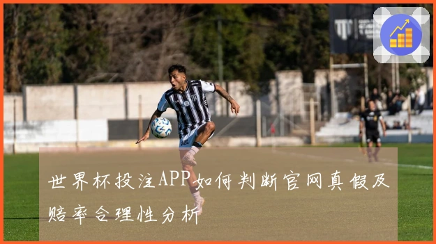 世界杯投注APP如何判断官网真假及赔率合理性分析