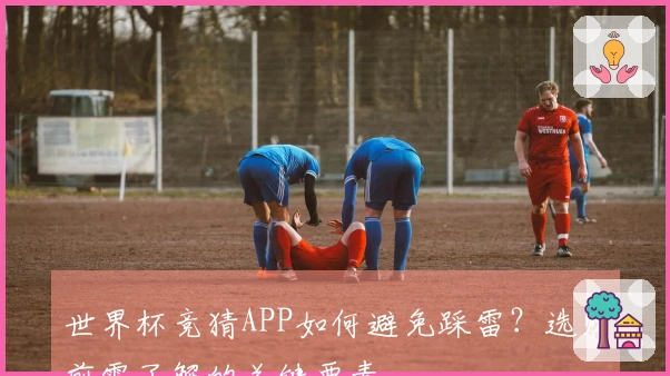 世界杯竞猜APP如何避免踩雷?选购前需了解的关键要素