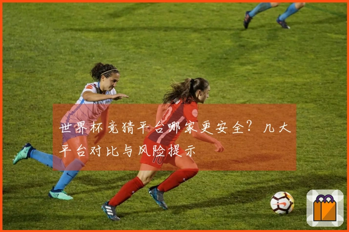 世界杯竞猜平台哪家更安全？几大平台对比与风险提示