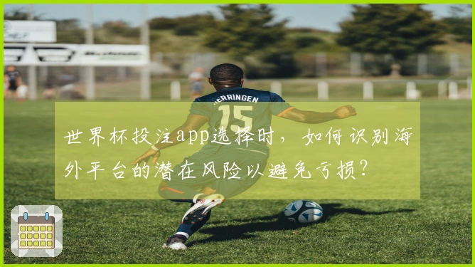 世界杯投注app选择时,如何识别海外平台的潜在风险以避免亏损?