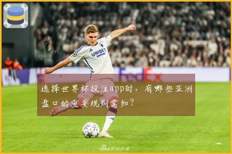 选择世界杯投注app时，有哪些亚洲盘口的重要规则需知？