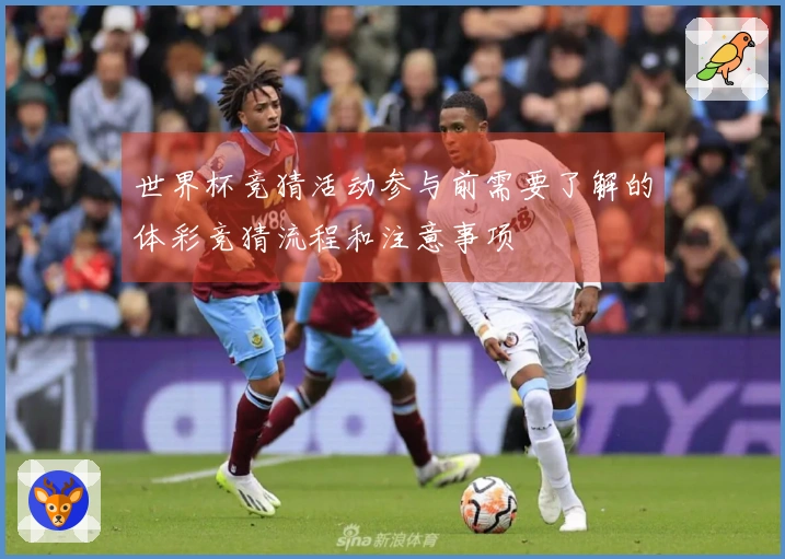 世界杯竞猜活动参与前需要了解的体彩竞猜流程和注意事项