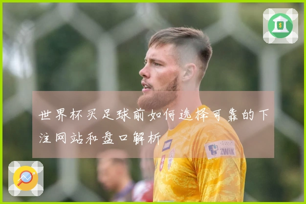 世界杯买足球前如何选择可靠的下注网站和盘口解析