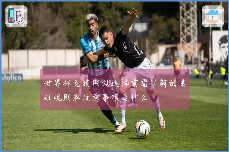 世界杯竞猜网站选择前需了解的基础规则和注意事项是什么