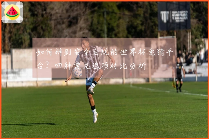 如何辨别安全合规的世界杯竞猜平台？四种常见选项对比分析