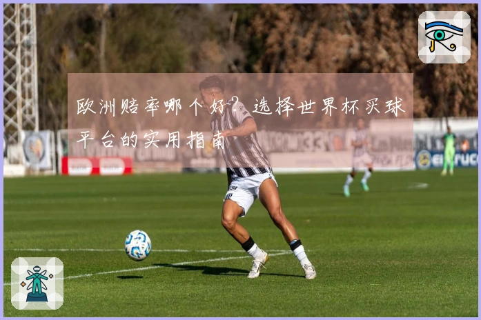 欧洲赔率哪个好？选择世界杯买球平台的实用指南