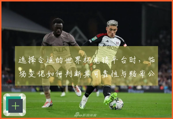 选择合适的世界杯竞猜平台时，临场变化如何判断其可靠性与赔率公正性