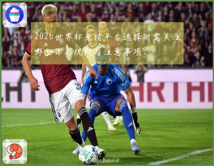 2026世界杯竞猜平台选择时需关注哪些体彩规则与注意事项？