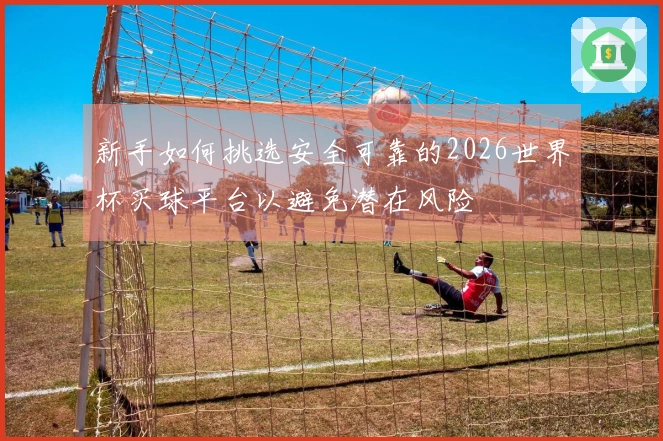 新手如何挑选安全可靠的2026世界杯买球平台以避免潜在风险