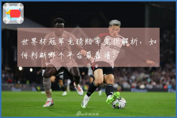 世界杯冠军竞猜赔率变化解析，如何判断哪个平台最靠谱？